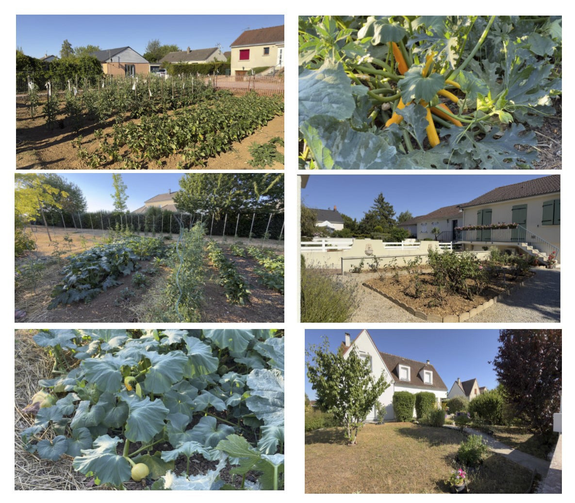maisosn fleuires et jardins potagers