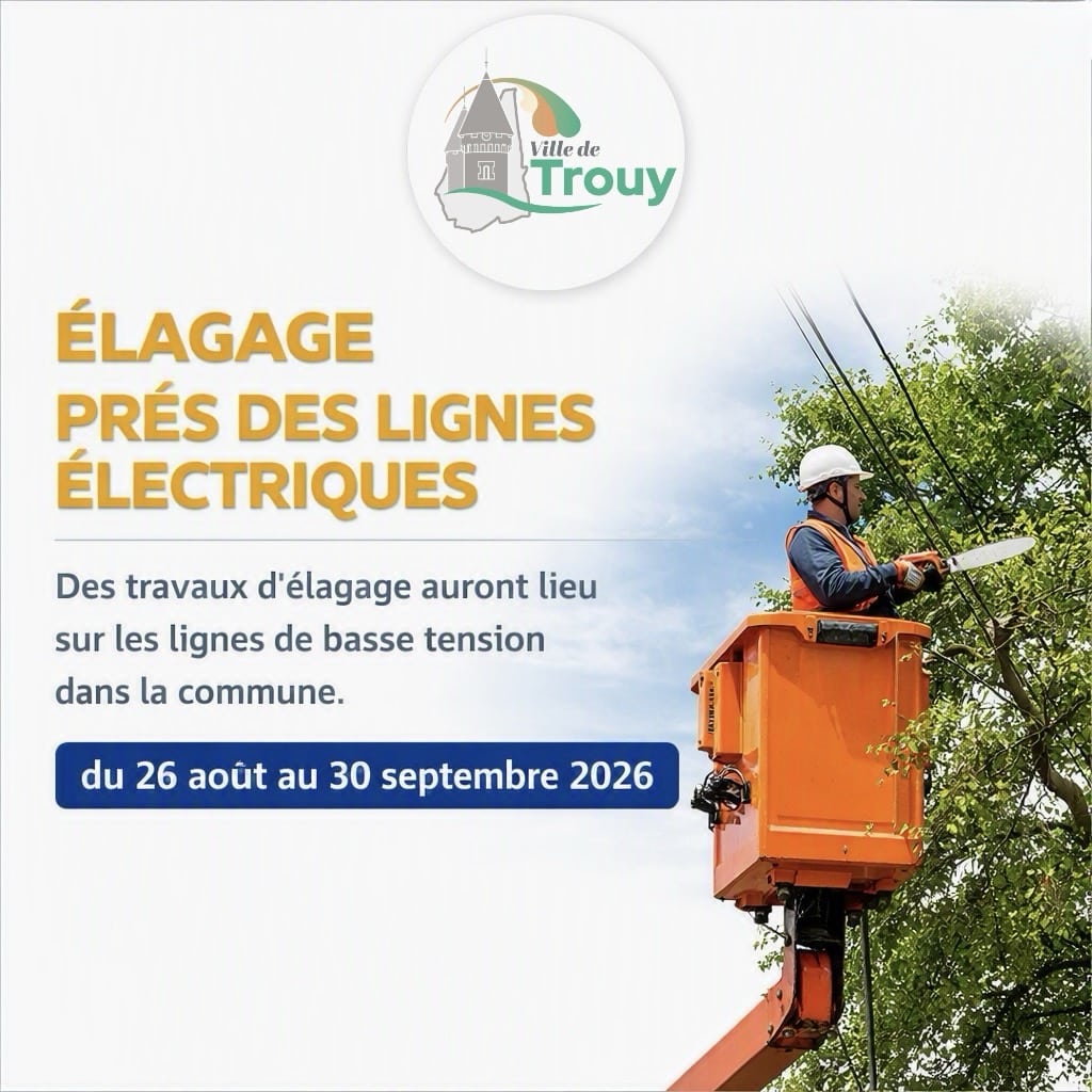 Travaux d'élagage