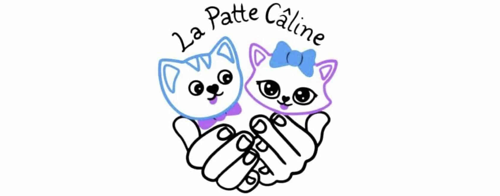 La patte câline